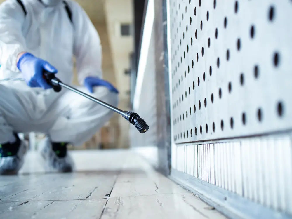 Vi leverer skadedyrsservice i hele Nordjylland - og bruger altid lokal ekspertise til at løse opgaven